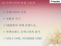 [다국적 기업 경영론] 트렉스타 Treksta(구 성호실업) 중소기업 해외진출 성공 사례-6