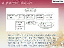[다국적 기업 경영론] 트렉스타 Treksta(구 성호실업) 중소기업 해외진출 성공 사례-8