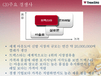 [다국적 기업 경영론] 트렉스타 Treksta(구 성호실업) 중소기업 해외진출 성공 사례-10