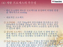 [다국적 기업 경영론] 트렉스타 Treksta(구 성호실업) 중소기업 해외진출 성공 사례-13