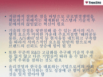 [다국적 기업 경영론] 트렉스타 Treksta(구 성호실업) 중소기업 해외진출 성공 사례-18