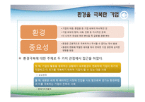 [환경분석론] 환경을 극복한 기업들-2