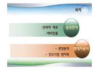 [환경분석론] 환경을 극복한 기업들-3