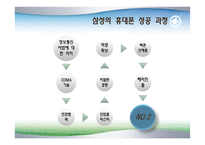 [환경분석론] 환경을 극복한 기업들-13