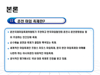 [관광학] 춘천 마임 축제-5