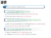 [관광학] 춘천 마임 축제-15