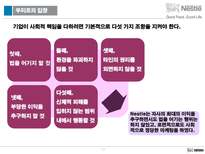 [국제마케팅전략] 네슬레의 성공전략-12