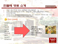 민들레 영토 마케팅 전략-5