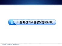 [재무관리] 제 6 장 위험과 수익률-19
