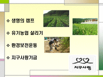 풀무원 사회공헌 활동 분석-10
