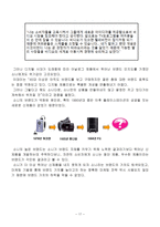 [국제경영론] 기존 월드클래스 기업과 신흥시장에서 성장한 기업의 비교 분석 -삼성과 소니의 사례를 중심으로-18