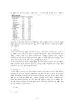 [마케팅] 현대자동차의 제네시스(GENESIS) 마케팅-10