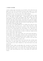 위성 라디오 산업의 XM사와 SIRIUS의 전략 비교-3