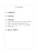 한우 먹거리촌 명소화를 위한 마케팅 방안-2