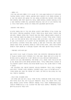 [다국적 기업 경영론] 트렉스타 Treksta(구 성호실업) 중소기업 해외진출 성공 사례-5