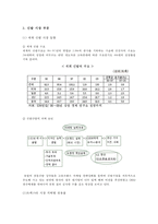 [다국적 기업 경영론] 트렉스타 Treksta(구 성호실업) 중소기업 해외진출 성공 사례-6