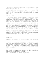 [다국적 기업 경영론] 트렉스타 Treksta(구 성호실업) 중소기업 해외진출 성공 사례-7