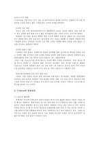 [다국적 기업 경영론] 트렉스타 Treksta(구 성호실업) 중소기업 해외진출 성공 사례-9