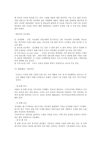 [다국적 기업 경영론] 트렉스타 Treksta(구 성호실업) 중소기업 해외진출 성공 사례-11