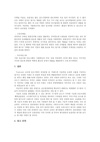 [다국적 기업 경영론] 트렉스타 Treksta(구 성호실업) 중소기업 해외진출 성공 사례-13