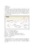 [국제경영] 참이슬 소주의 러시아 시장진출-2
