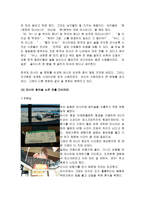 [국제경영] 참이슬 소주의 러시아 시장진출-12