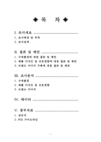 금강제화 뉴라인 슈즈 출시를 위한 홍보전략-2