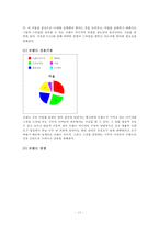 금강제화 뉴라인 슈즈 출시를 위한 홍보전략-15