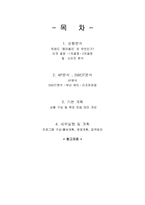 [관광상품] 일본관광객(일본여성) 부산 여행상품 개발-2