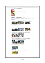 [관광상품] 일본관광객(일본여성) 부산 여행상품 개발-9