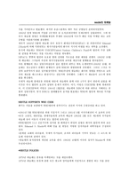 [국제마케팅전략] 네슬레의 성공전략-13