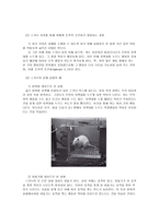 [교육심리] 스키너와 조작적 조건화에 대하여-6