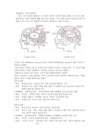 [교육심리학] 남녀성차-4