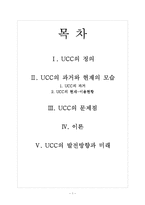 정보사회와 사회변동 -UCC-1