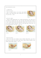 [아동발달] 출산 -분만의 실태와 다양한 분만법에 관하여-4