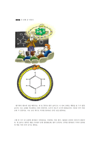 창의적 사고 -유추-6
