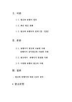광고와 유행어 레포트-2