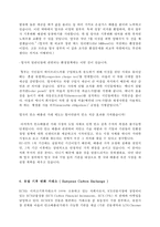 영국의 탄소배출권 거래 제도 조사-16