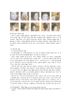[일본문화] 게이샤-5
