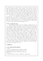 [국제정치경제] 세계화와 개발도상국의 경제발전에 대한 전망과 평가-9