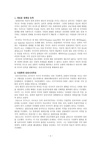 러시아 외교정책-4