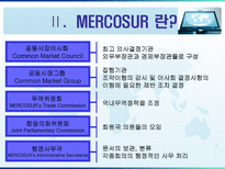 [지역협력] Mercosur 메르코수르-7