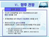 [지역협력] Mercosur 메르코수르-19