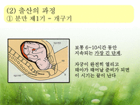 [아동발달] 출산 -분만의 실태와 다양한 분만법에 관하여-7