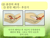 [아동발달] 출산 -분만의 실태와 다양한 분만법에 관하여-9