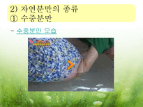 [아동발달] 출산 -분만의 실태와 다양한 분만법에 관하여-15