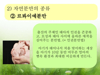 [아동발달] 출산 -분만의 실태와 다양한 분만법에 관하여-19