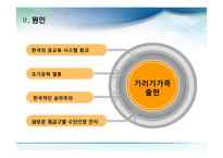 기러기 가족에 대한 연구와 해결-9
