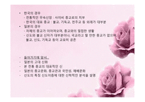 [일본사회론] 일본의 신과 종교 문화-5