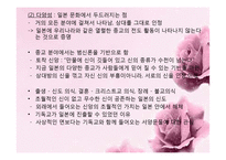 [일본사회론] 일본의 신과 종교 문화-17
